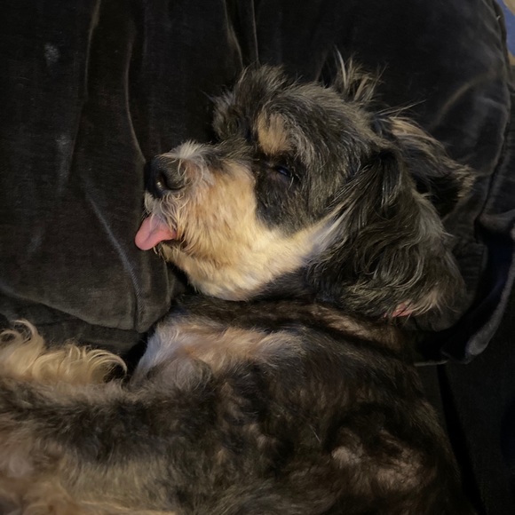 Meet your Posher, Gerapie - Picture 1 of 1